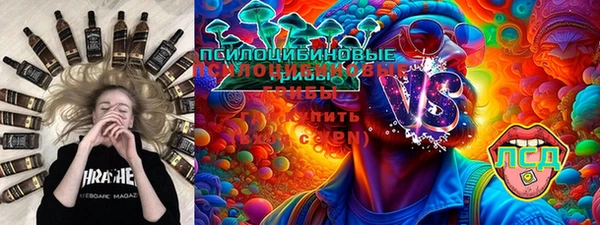 прущая мука Ельня