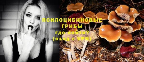 прущая мука Ельня