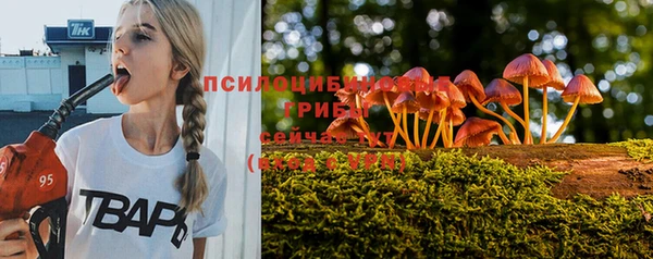 прущая мука Ельня