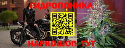 ГАЛЛЮЦИНОГЕННЫЕ ГРИБЫ Рязань