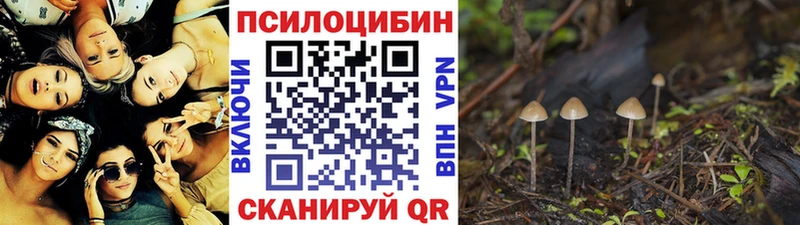 это формула Слободской Псилоцибиновые грибы мицелий