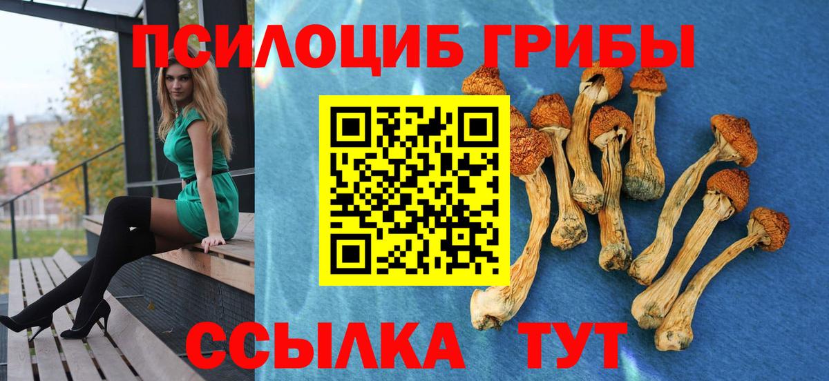 Слободской  Псилоцибиновые грибы Psilocybine cubensis  Псилоцибиновые грибы Magic Shrooms  Вход с VPN 